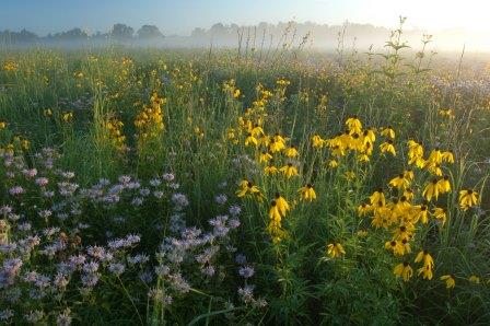 boot lake prairie